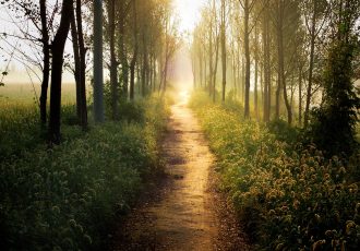 trueself counselling Nature Image 4